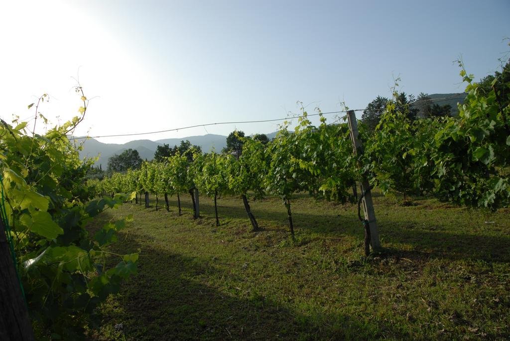 Tenuta Torellone San Potito Sannitico Экстерьер фото